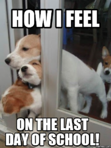 Meme of puppies struggling to fit through a slightly open door, with the caption How I Feel on the Last Day of School!